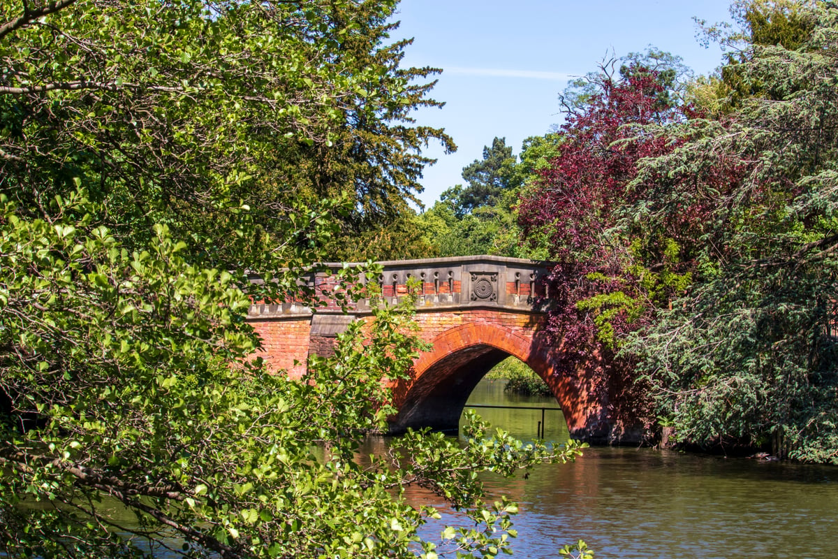 23 AUGUST 2026 | SUNDAY RESET SOCIAL | CANNON HILL PARK | BIRMINGHAM