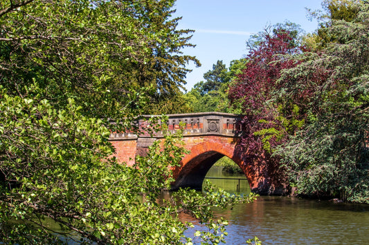 23 AUGUST 2026 | SUNDAY RESET SOCIAL | CANNON HILL PARK | BIRMINGHAM