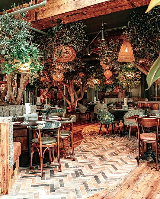 28 OCTOBER 2026 | WEDNESDAY MIDWEEK MEMBERS LOUNGE | THE BOTANIST | NOTTINGHAM | EVENT PASS